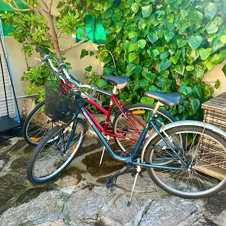 Unique Front De Climatise Et Jardin Apartamento Le Lavandou
